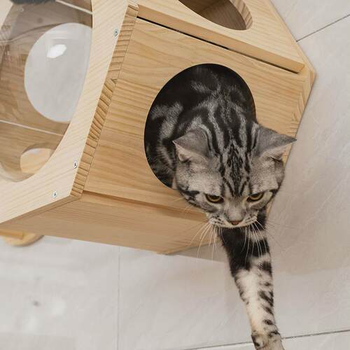 实木挂墙上猫爬架猫墙壁式跳台太空舱猫窝猫屋猫趴架猫别墅壁挂式
