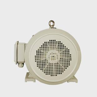 豫东供应ye3纯铜0.55/1.1/3/4kw三相异步交流电立式380v动机电机