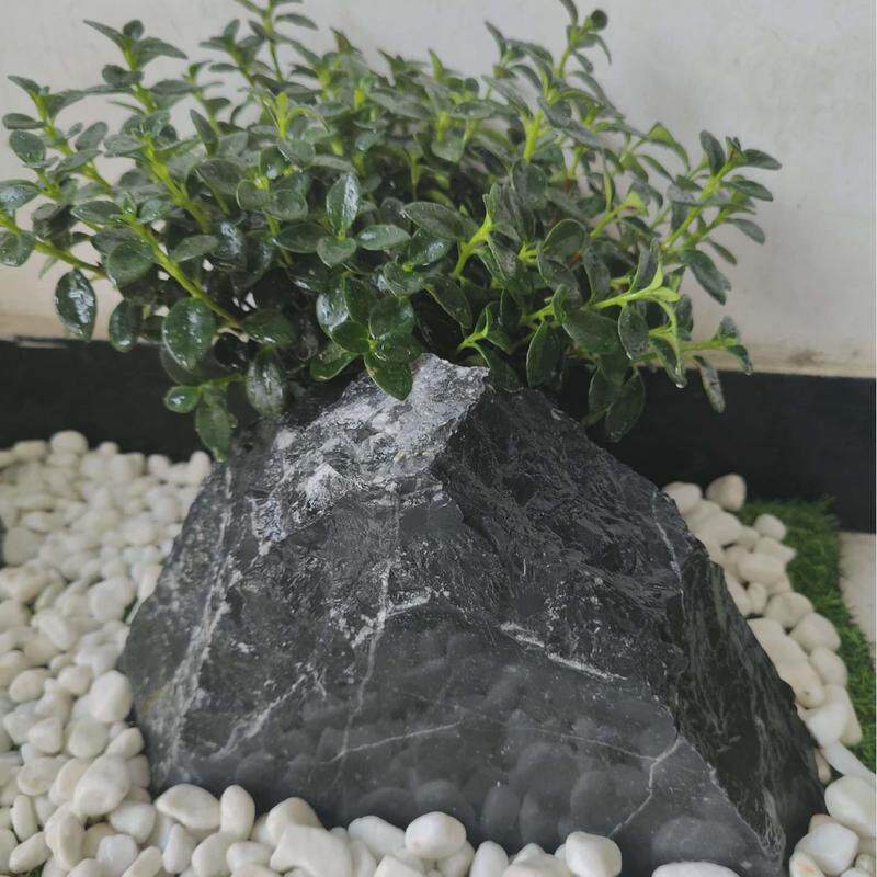 黑山石雪浪石切片组合大小型景观石泰山石假山石别墅庭院室内外