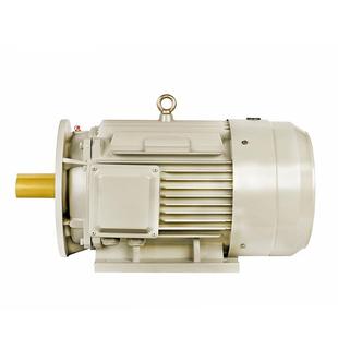 豫东供应YE3纯铜0.55/1.1/3/4KW三相异步交流电动机380V立式电机