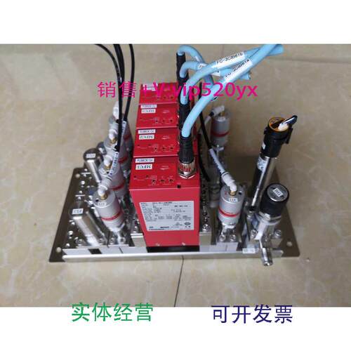 供应HORIBAN100SEC-N114MGMW10SLMN2流量计4组套件
