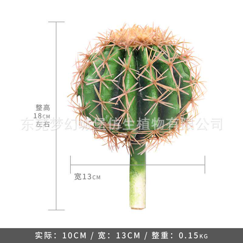 仙人柱造景仿真仙人掌摆件室内橱窗拍摄道具大型沙漠植物场景装饰