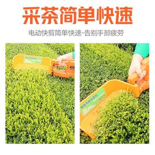 小型迷你修剪机充电式 无刷电动采茶机机便携式 绿篱单人茶叶采摘机