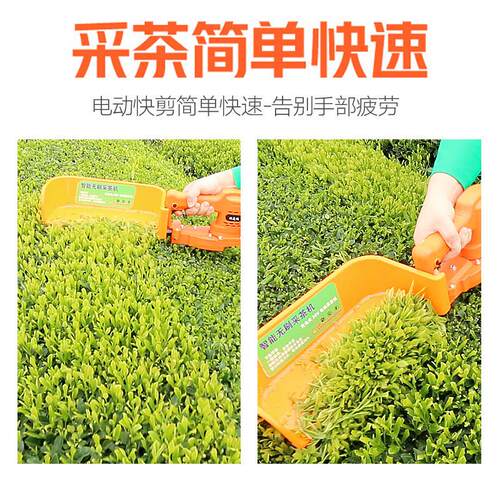 无刷电动采茶机单人小型迷你便携式修剪机充电式绿篱机茶叶采摘机