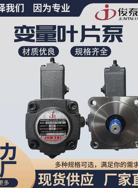 工厂直销油泵juntai变量液压叶片泵vpsf15vpsf20vpsf30/40液压