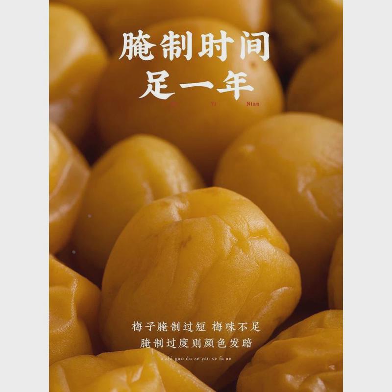 潮汕集锦南姜梅酱酸梅酱烧鹅酱冰梅子酱烤鸭解腻叉烧水果青梅酱蘸