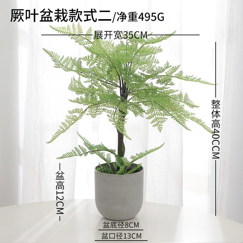 厥叶装饰绿色植物盆栽叶子假花摄影摆件室内家居塑料花卉盆景仿真