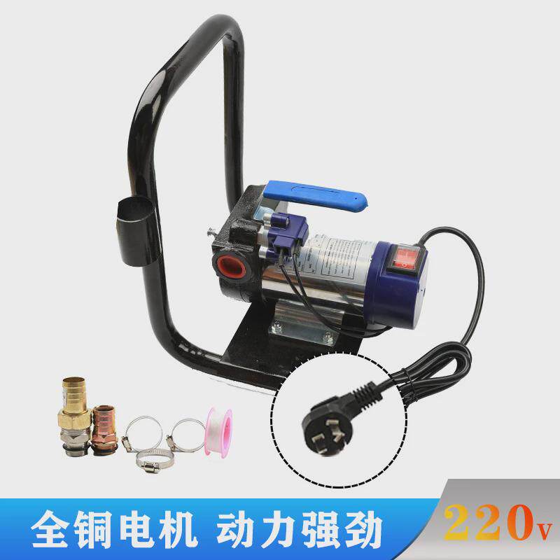 厂家货源电动自吸油泵12V24V220V柴油泵小型便携式柴油输送泵