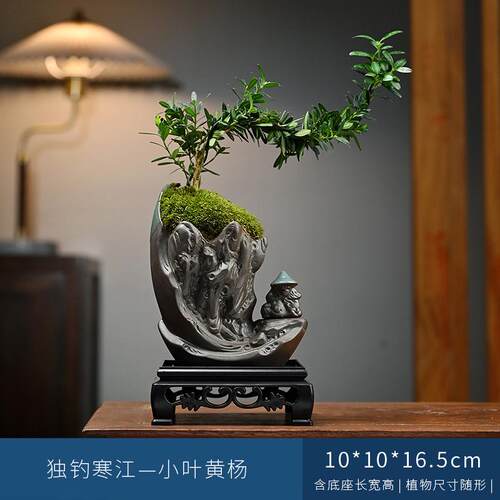 六月雪盆栽禅意桌面好养植物客厅室内摆件办公室盆景茶室黄杨绿植