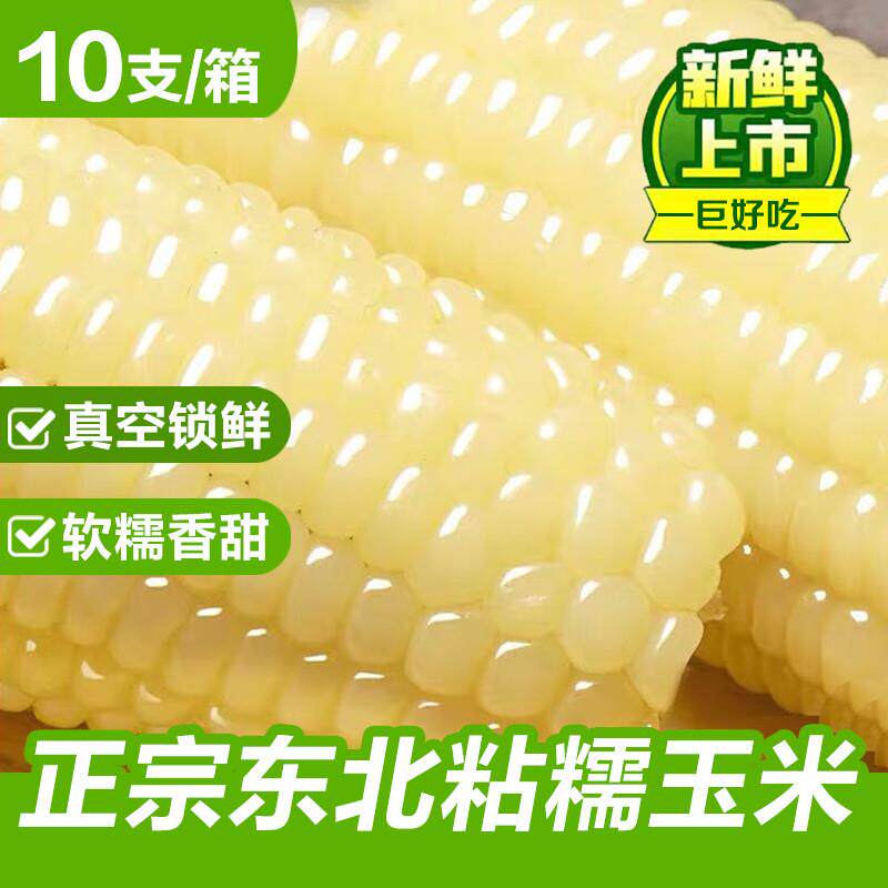 10支东北白糯粘玉米真空袋装新鲜即食黏玉米棒低脂0添加整箱苞谷