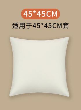 tuf4抱枕芯45x45cm内胆芯抱枕芯内沙发靠垫靠枕记忆棉填充材料芯