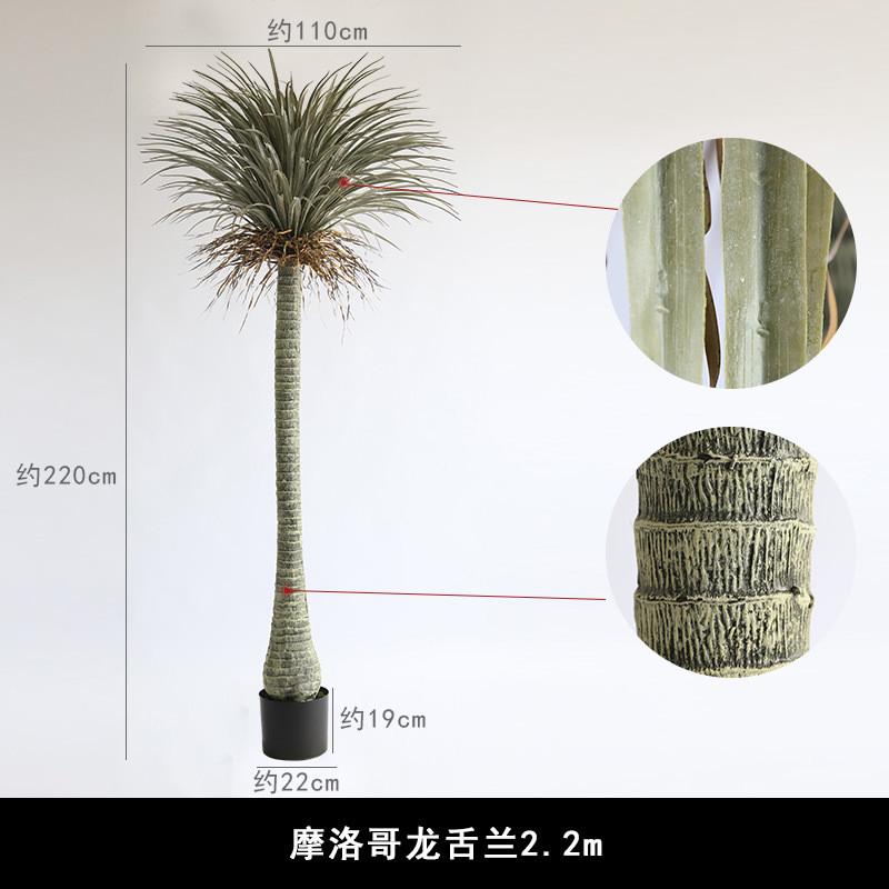 大兰绿植树丝景观陈列橱窗搭配仿真植物盆栽沙生植物摩洛哥龙舌兰