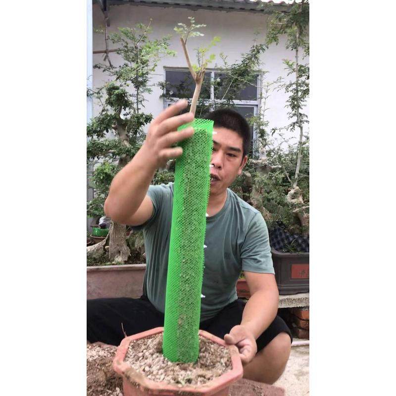 现货速发老崔盆景养护 高培打围片、盆子底孔滤水盆底垫片,鲜花速递/花卉仿真/绿植园艺,其它园艺用品,淘宝优惠券,粉丝福利购,淘宝优惠卷