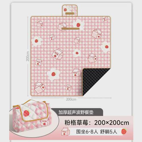 野餐垫防潮垫加厚露营户外地垫便携野炊春游草坪垫子防水帐篷地垫