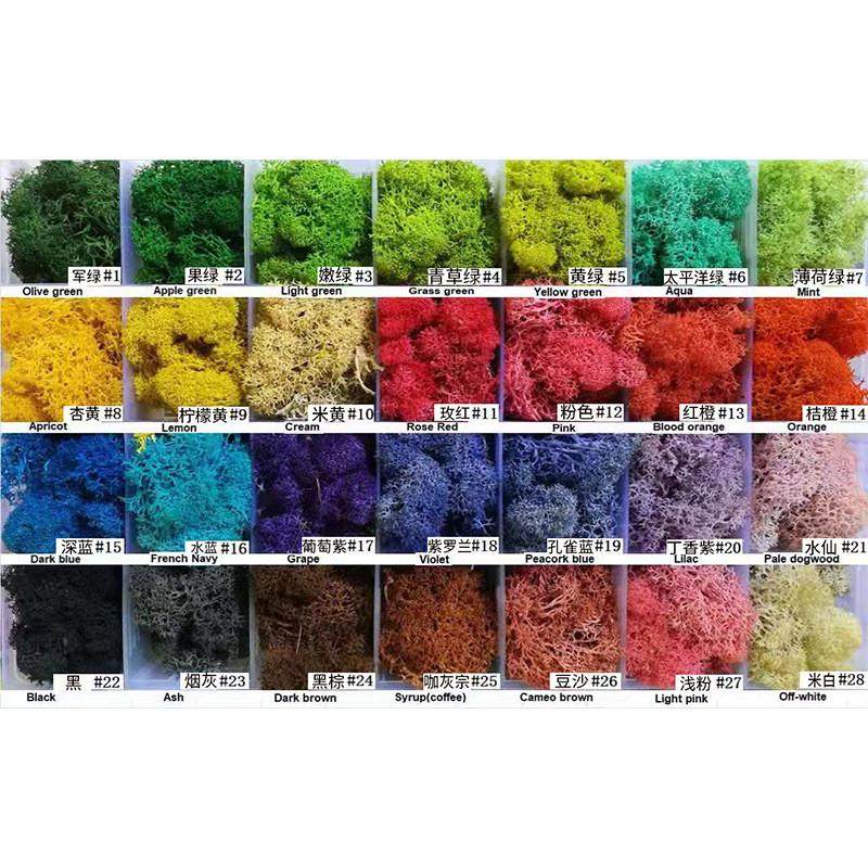 苔藓墙植物墙装饰墙diy绿苔微景观工艺品批发