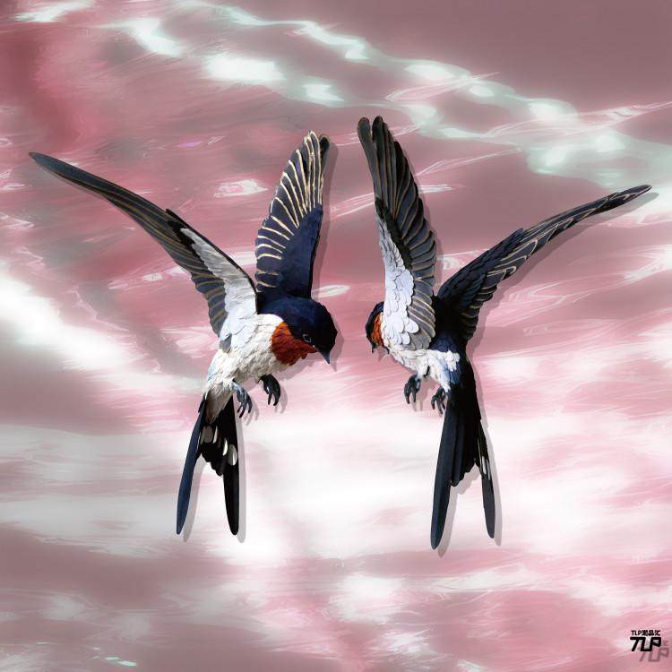 TLP反光车贴  心情切片系列 飞鸟雀类燕子Swallow剪尾 平面贴纸