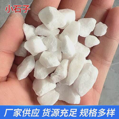 厂家供雪花白白色白石子路面石子透水园林水磨石景观砾石白色石子