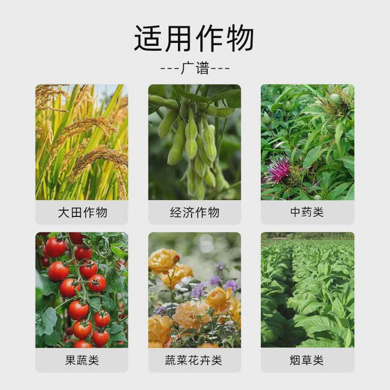 热销浓缩海藻精肥料鱼蛋白水溶肥甲壳素生根壮苗水溶肥大田作物海