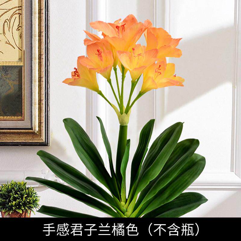 君子兰盆景花包邮套装绿植室内客厅电视玄关柜摆放吧台装饰花假花