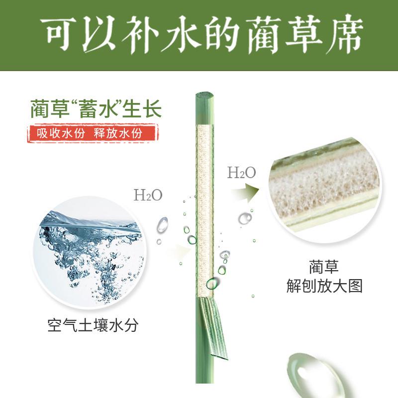 0wyv草席凉席折叠炕席家用两用席子冬夏农村芦苇床垫老式