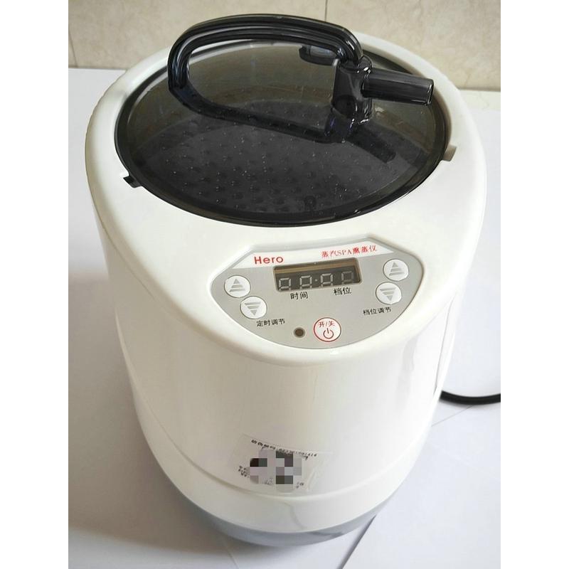 4升浴箱配件熏蒸机家用桑拿蒸汽机蒸机熏蒸仪2000瓦汗蒸汽锅