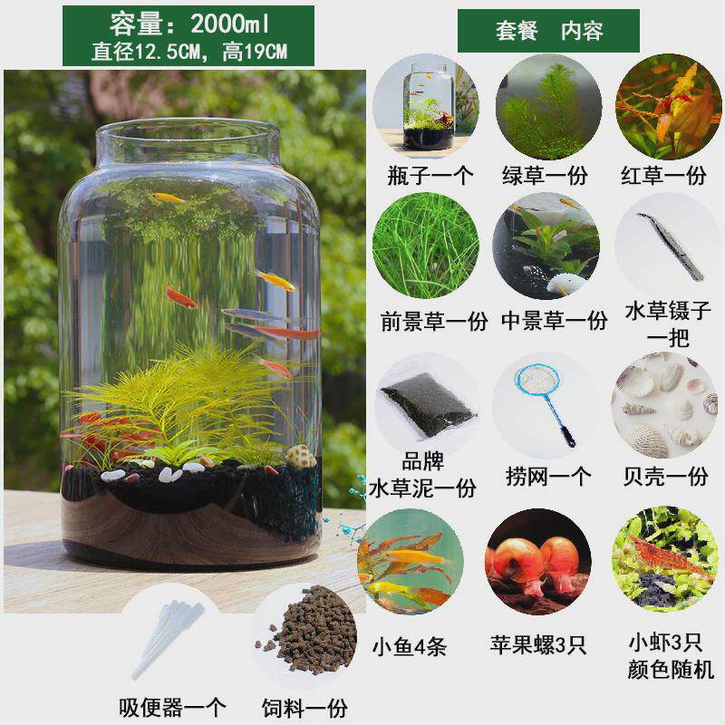 生态瓶瓶免换水自循环diy全套玻璃微景观桌面小鱼缸学科学作业