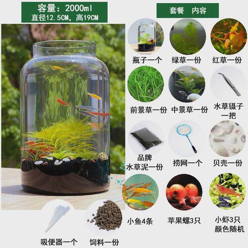 生态瓶瓶免换水自循环diy全套桌面小鱼缸微景观玻璃学科学作业