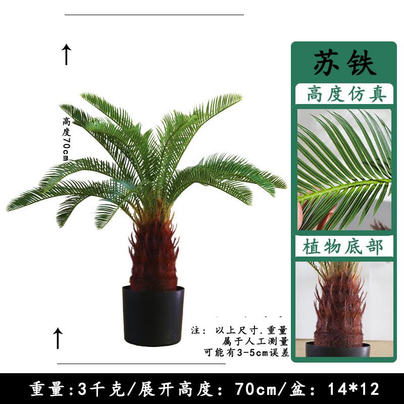 大型仿真树铁树苏铁铁树绿植室内假植物摆件人造假盆景仿真造景