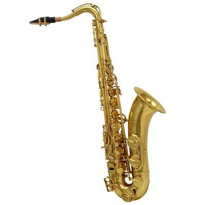 金音漆金风jyts-e100g降b调次中音萨克斯次中音萨克斯乐器