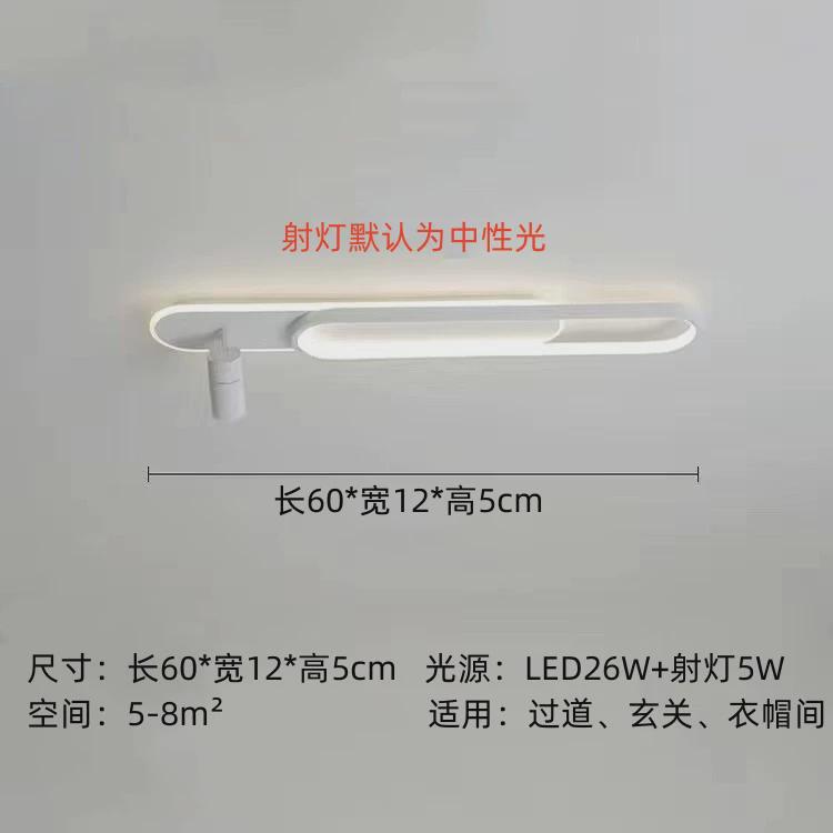 简约led北欧2021长条新款年卧室创意衣帽间过道天花明装客厅灯具