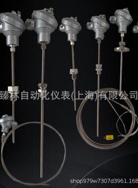 WRNK-191固定螺纹锥形WREK-482圆接插式铠装热电偶