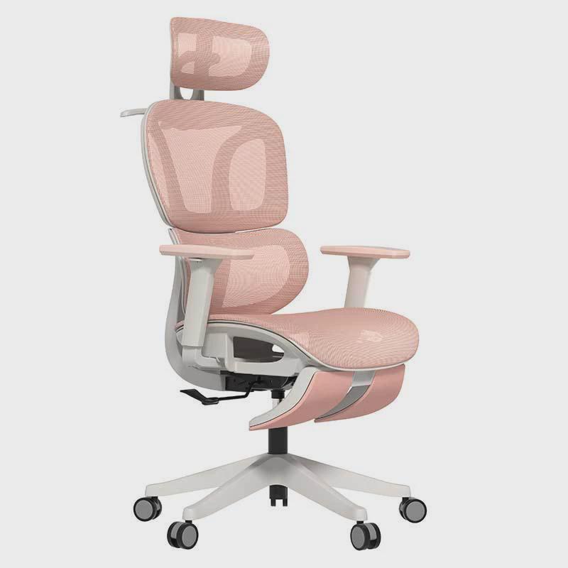 人体工学椅午休工程办公椅电脑椅双背家用舒适承接椅子办公室转椅