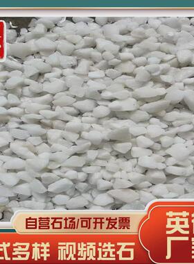 黑色砾石水洗石日式石子枯山水碎石子深灰色洗米庭院黑色石子石头