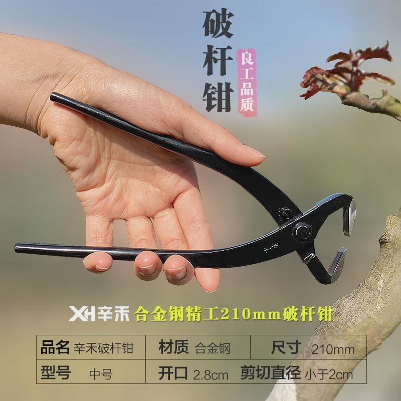 1z5x球工具盆景节剪盆栽树瘤钳修枝剪球形剪专业园艺制作造型养护