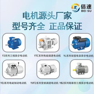 10级三相电动机立卧式 铸铁铝壳电机 电机厂倍速台州ye3