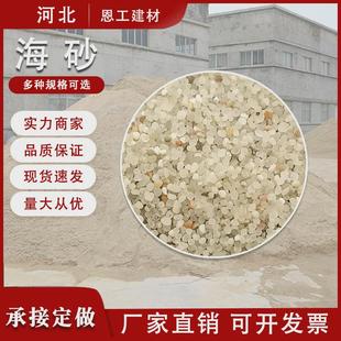 天然海砂现货圆粒砂儿童沙坑质感细沙人工沙滩造景沙多规格海沙