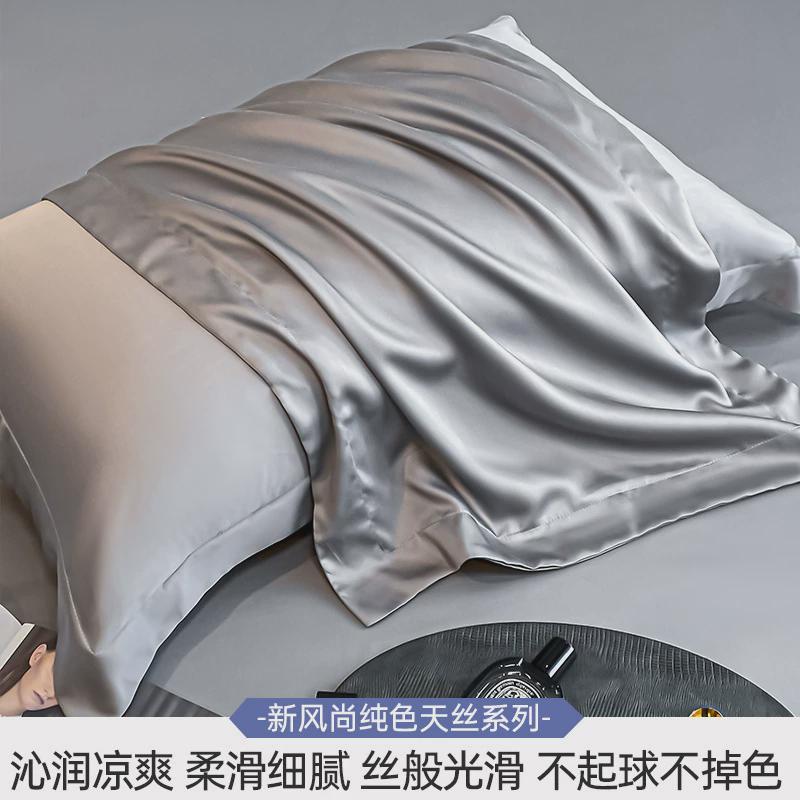 新品天丝枕头套品枕套一对装轻奢高级感真天丝单柔软套夏季家用