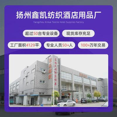 舒适酒店30%白鸭绒枕全棉枕头蓬松长方形枕芯单人五星级羽绒枕