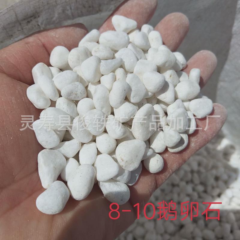 鹅卵石大批量现货白色石头50多肉装机制鹅卵石斤铺面造景白石子