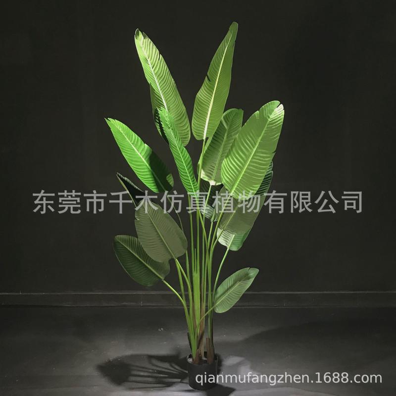 粉红摆件摄影拍摄道具旅人蕉芭蕉喷色婚庆场景布置仿真植物盆景
