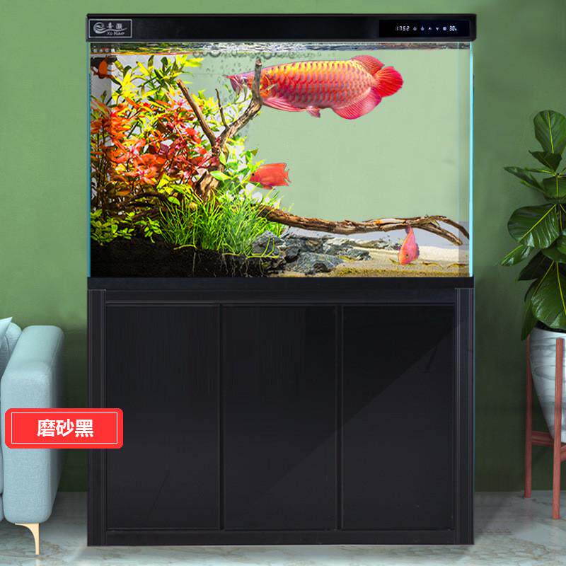 超白鱼缸水族箱客厅落地屏风大型家用小型免换水底滤金鱼缸送造景