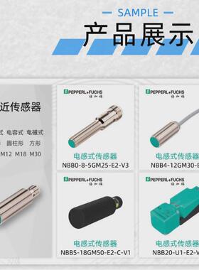 模块wcs接口倍加福wcs-pg310现货供应276147