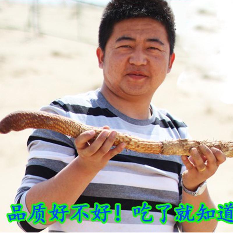 新货肉苁蓉500g中药材整根切片正品鲜干片野生内蒙古特级打粉锁阳