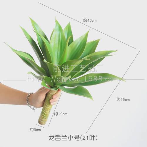 仿真芦荟龙舌兰剑麻沙生植物小棵绿植家居门店造景堆景装饰摆件