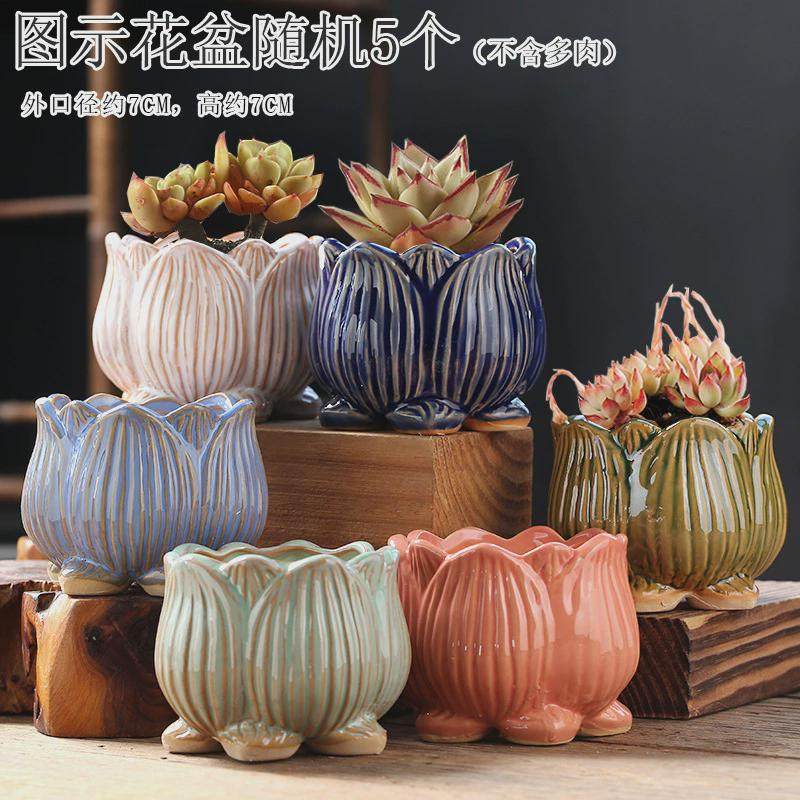 多肉植物花盆陶瓷拇指盆小个性控型复古老庄手绘,鲜花速递/花卉仿真/绿植园艺,花盆,淘宝优惠券,粉丝福利购,淘宝优惠卷