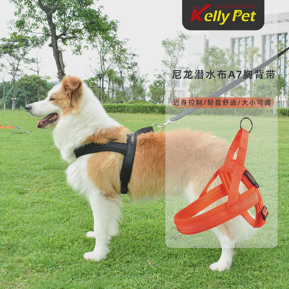 kellypet宠物用品工厂潜水料狗背带尼龙狗狗牵引绳套装宠物胸背带