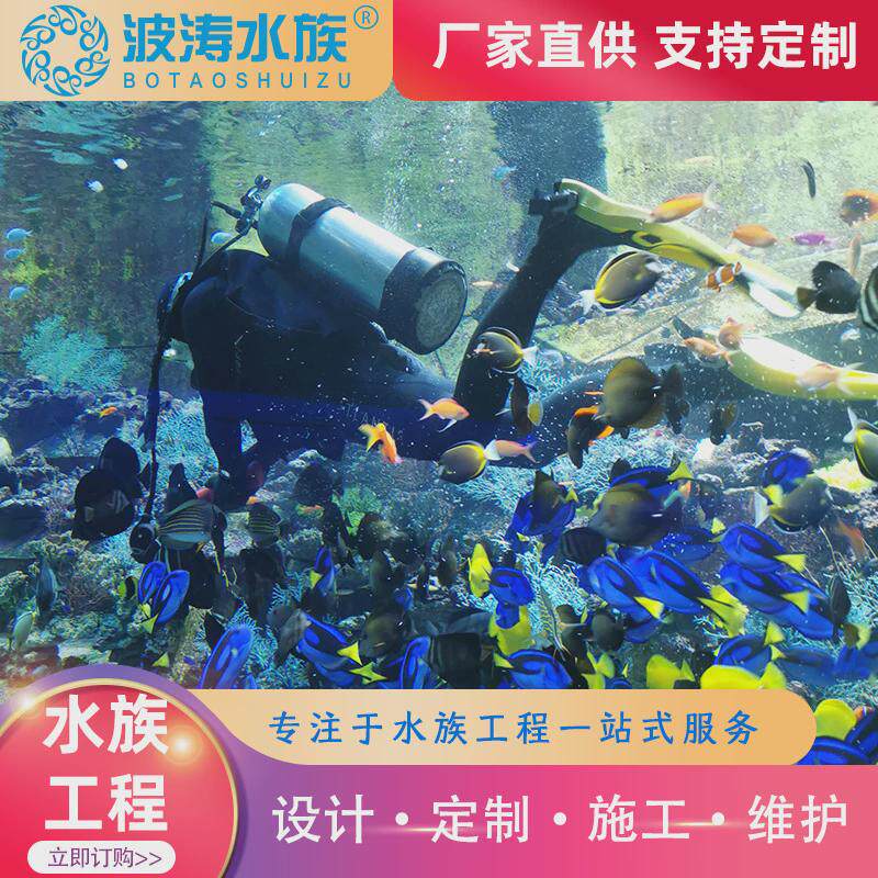 景观海洋水族馆承接亚克力工程生态鱼缸设计施工亚克力大型鱼缸