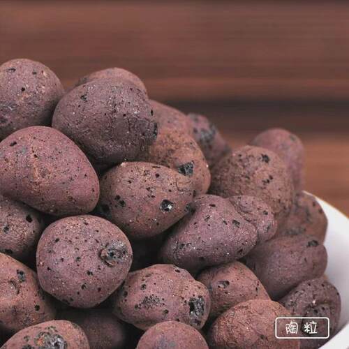 陶粒垫底陶土多肉土粒养花盆栽专用彩色透气铺面石回填火山石颗粒