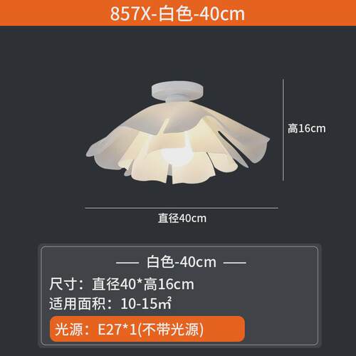 网红吸顶灯房间灯现代led卧室风过道花朵花瓣走廊阳台灯创意奶油
