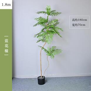 仿真蓝花楹软装家居装饰盆栽造景北欧风客厅落地假植物中式禅意